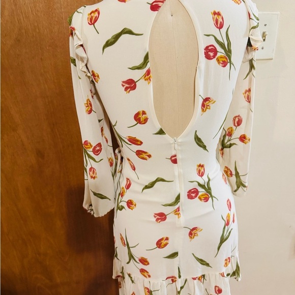 REfORMATION women dress quest Tulip - Picture 7 of 9